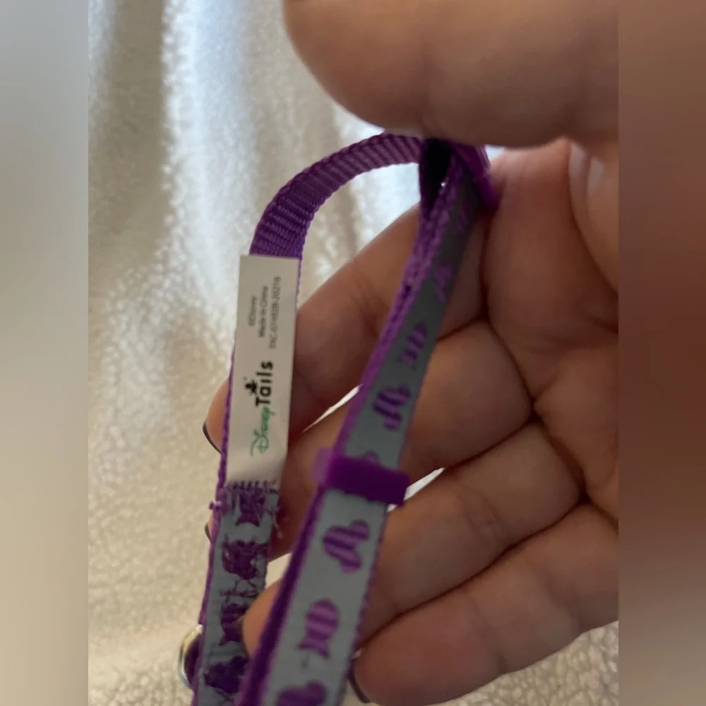 Disney cat collar